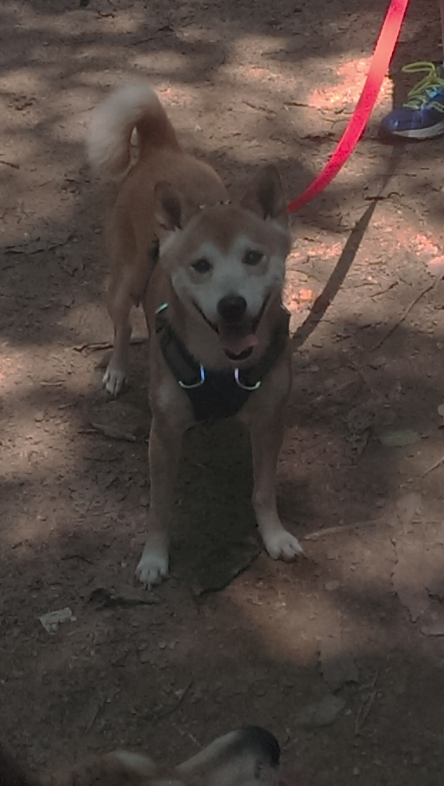 职业联赛营销方案未形成品牌主张,职业联赛营销方案未形成品牌主张的原因