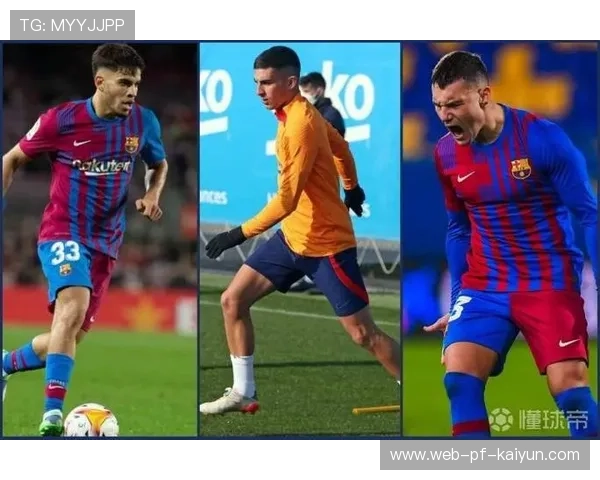 巴塞罗那研究中锋参与组织方式