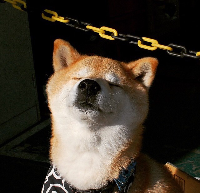 欧冠资格争夺战影响五大联赛排名格局，欧冠资格争夺战影响五大联赛排名格局的原因